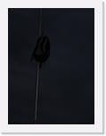 2015-05-25 20.28.41 * 2448 x 3264 * (1.07MB)